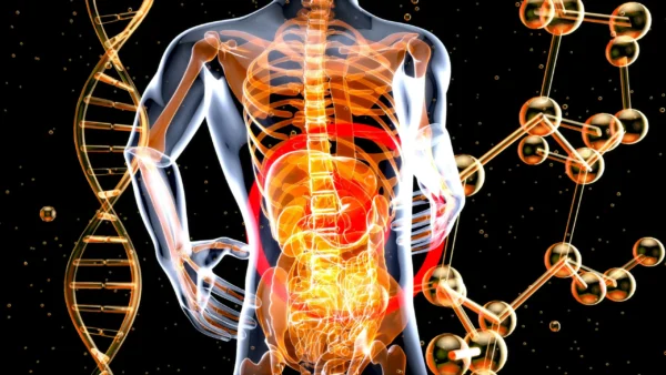 Advanced Chiropractic in Silver Spring.
